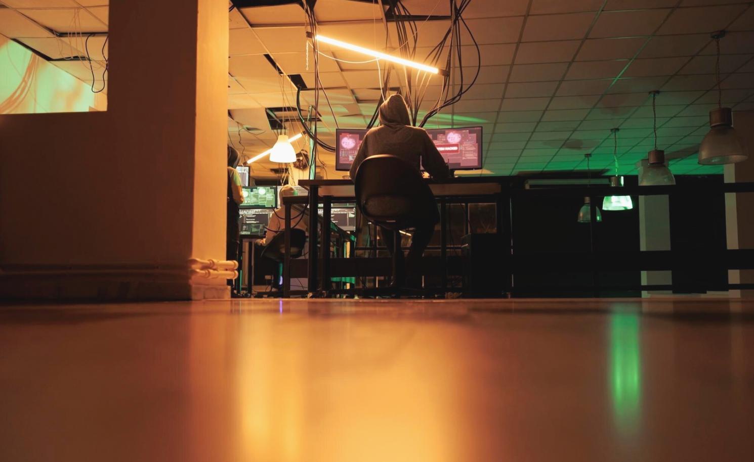 Environnement de développement PostgreSQL avec exemples de requêtes